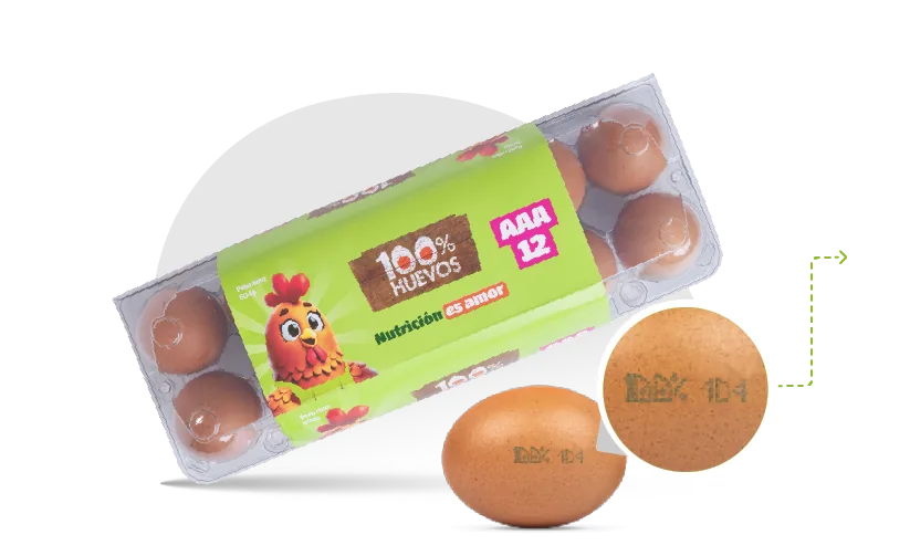 Empaque PET de 12 huevos y huevo con el código impreso en la cáscara