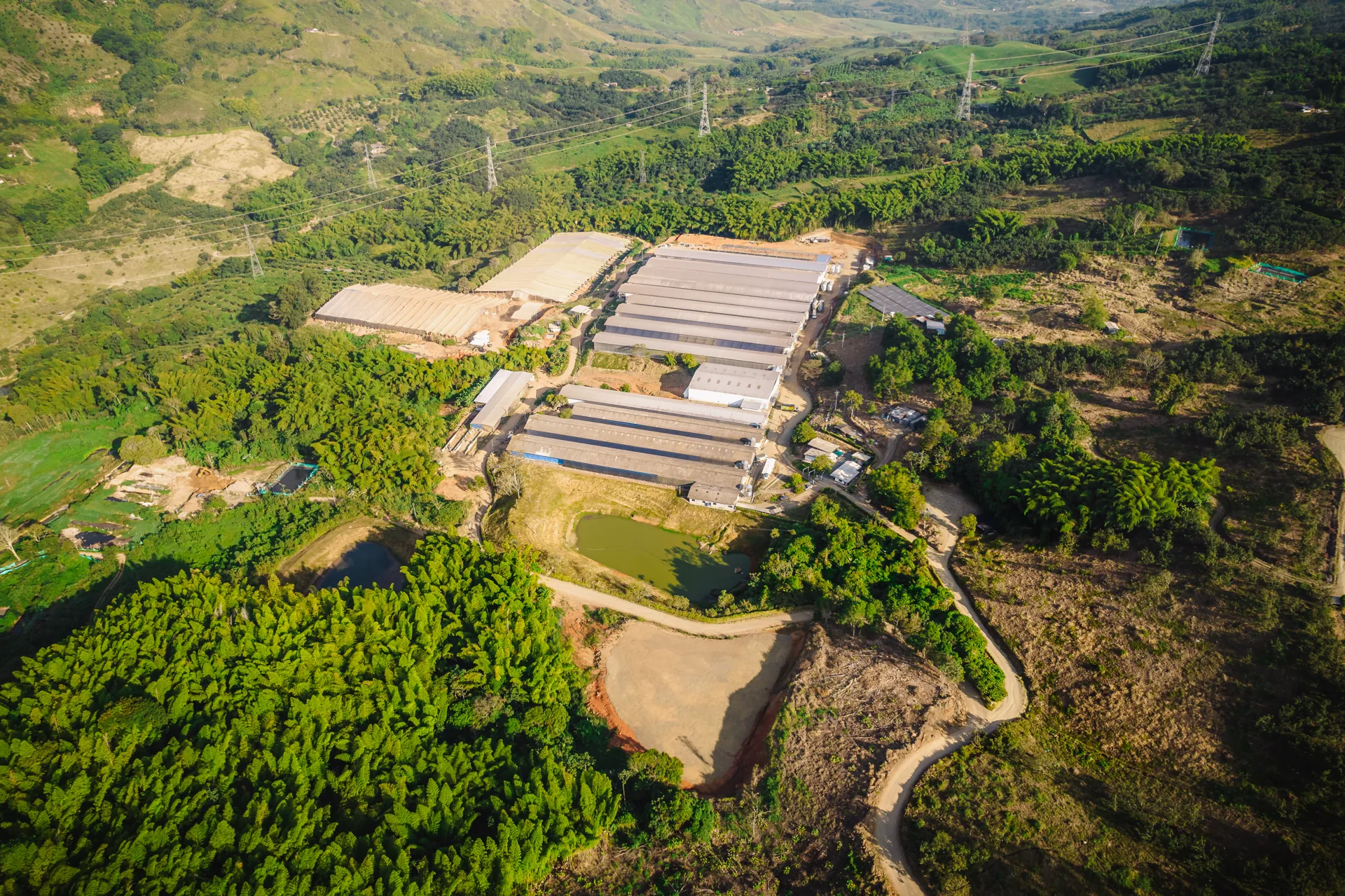 Vista aérea de la granja de 100% Huevos rodeada de bosque y montañas