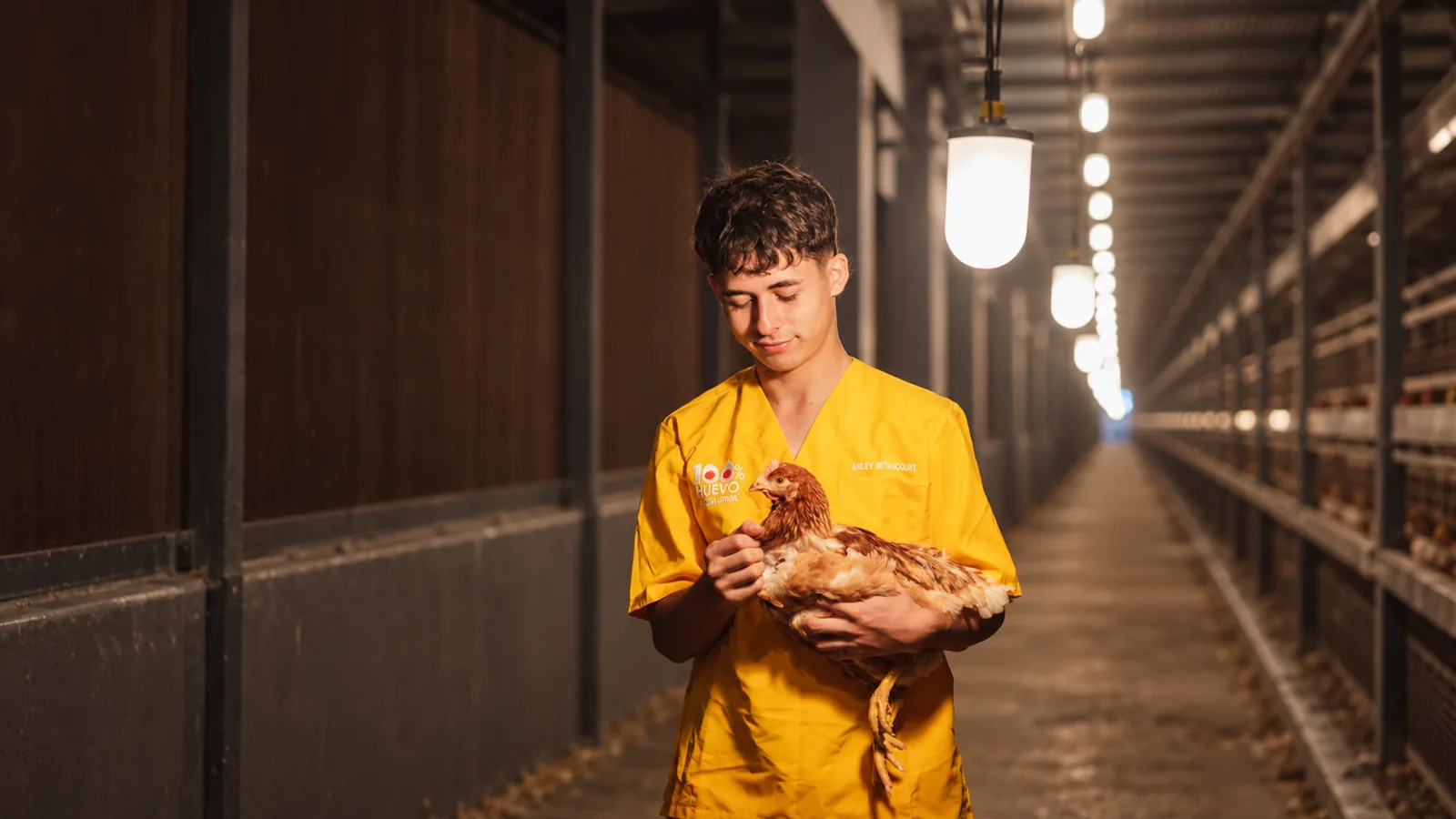 Colaborador de 100% Huevos sosteniendo una gallina en el pasillo de un galpón